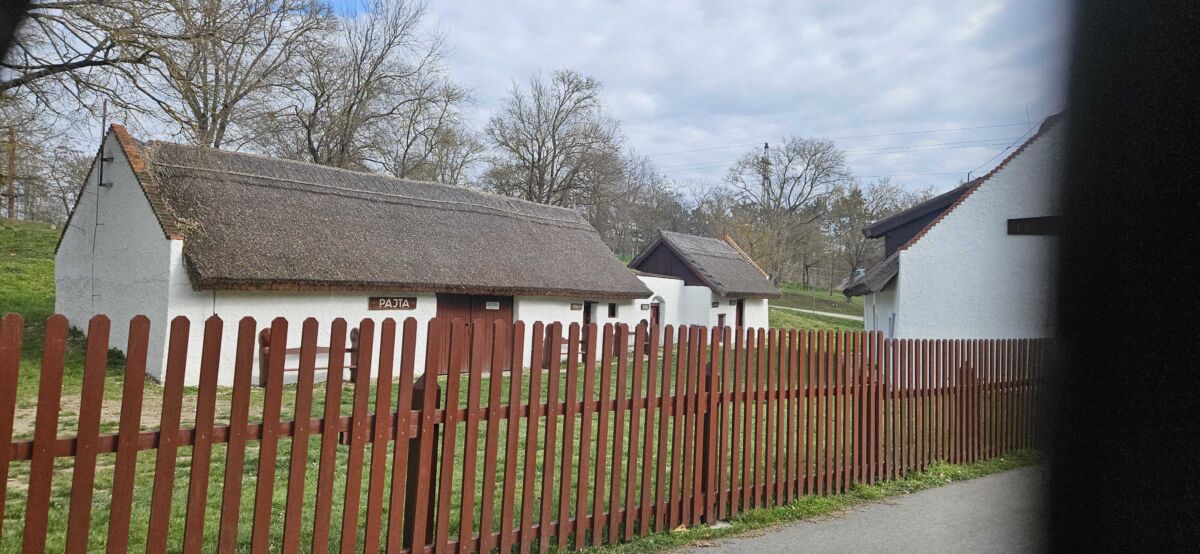 1000033571_optimized