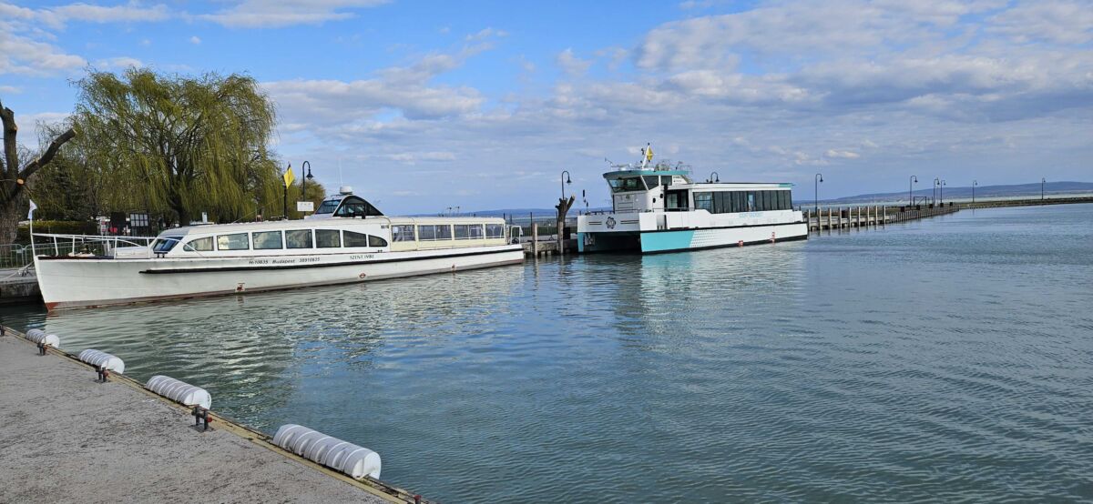 1000033590_optimized